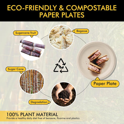 Disposable Paper Plates 9 Inch [Pack of 100], Durable Biodegradable Paper Plates, Eco-Friendly Compostable