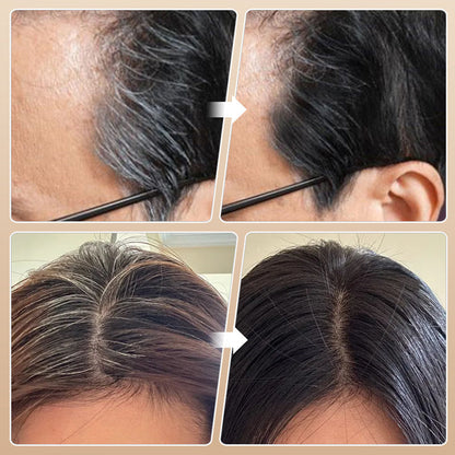 Buy 1 Get 2 Free 2-in-1 Hair Color Stick & Comb